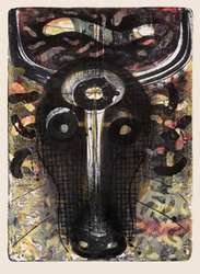 Litografia barwna CONNOCHAETES TAURINUS grafika artystyczna Krzysztof Świętek